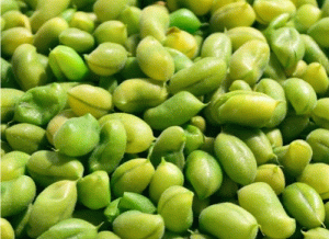 Soja